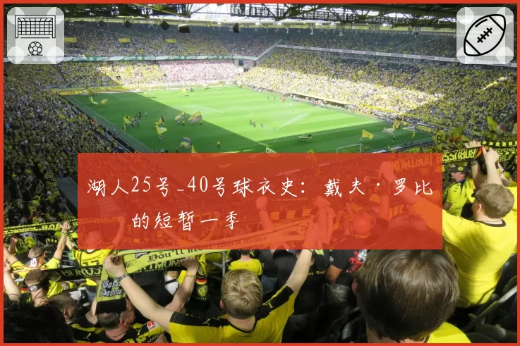 湖人25号_40号球衣史：戴夫·罗比什的短暂一季