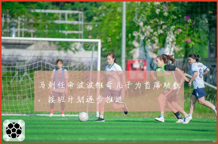 马刺任命波波维奇儿子为首席助教，接班计划逐步推进
