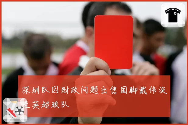 深圳队因财政问题出售国脚戴伟浚至英超狼队
