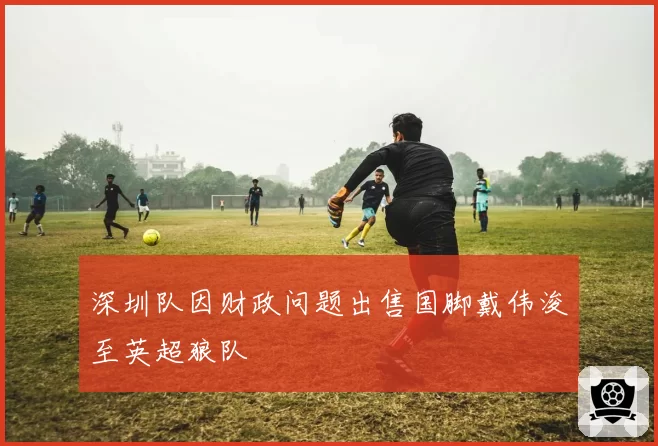 深圳队因财政问题出售国脚戴伟浚至英超狼队